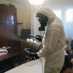 Дезинфекция от клопов в Юже
