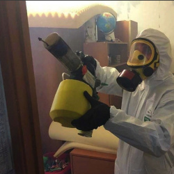 Уничтожение клопов в квартире. Южа